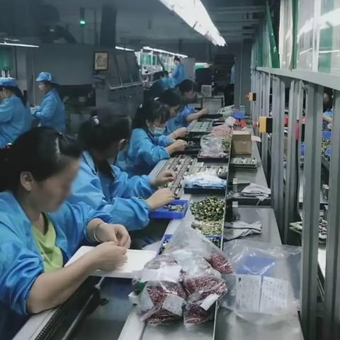 龙华十大电子厂？