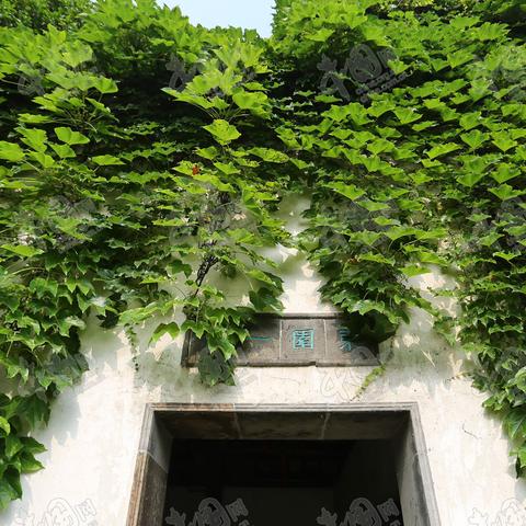 苏州市的文化遗产是什么