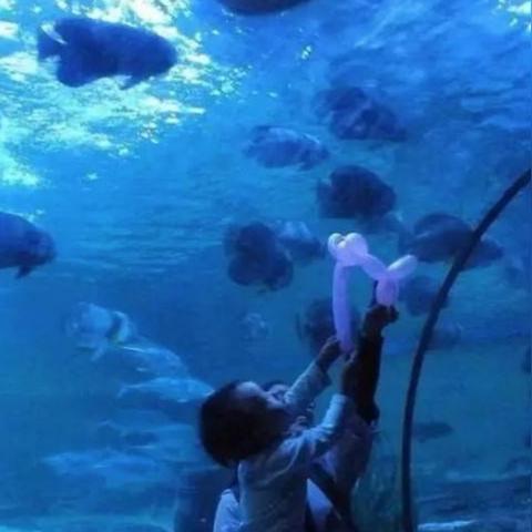 海洋时光官方网站的长尾关键词是什么