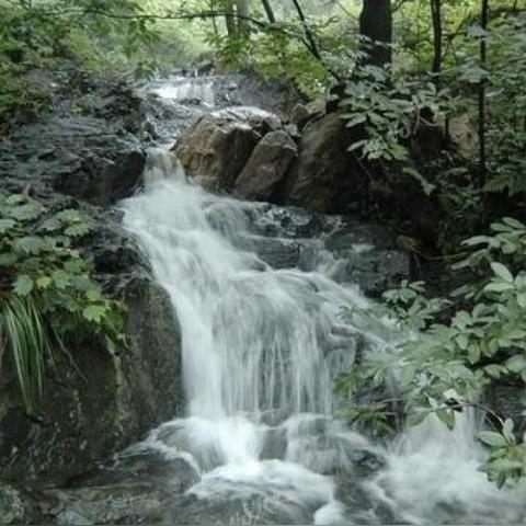 河南确山属于哪个地区