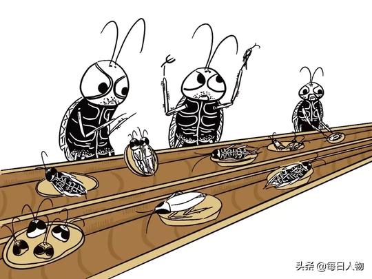 北漂灭蟑师十年灭两千万只蟑螂，他说北京的蟑螂一辈子都灭不完