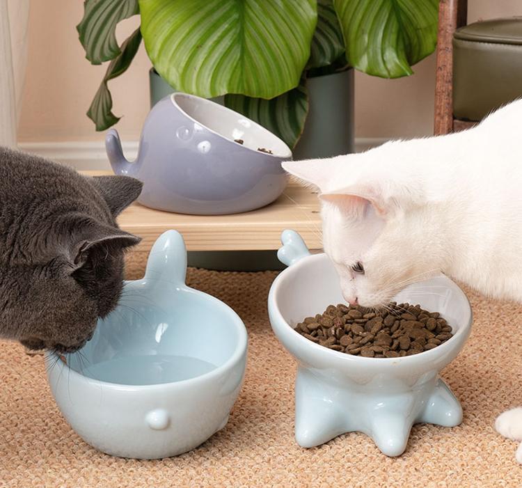 我要看新手有哪些简单的验车方法和步骤可以分享