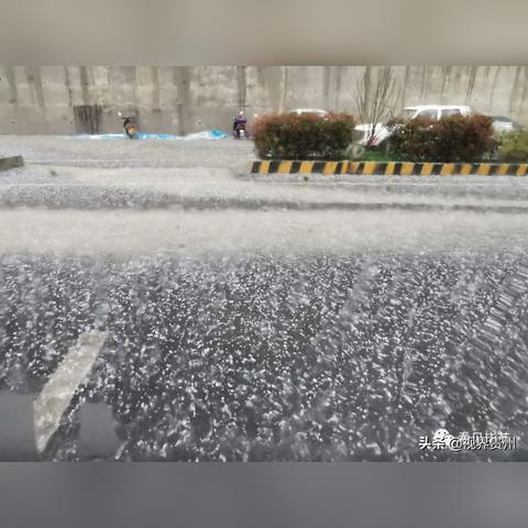 无锡市顺达驾校地址在哪里