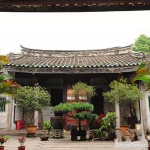 一招学会紫微斗数，太岁地支这样用准没错