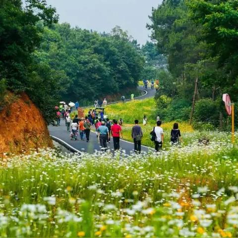 武汉市八分山怎么样