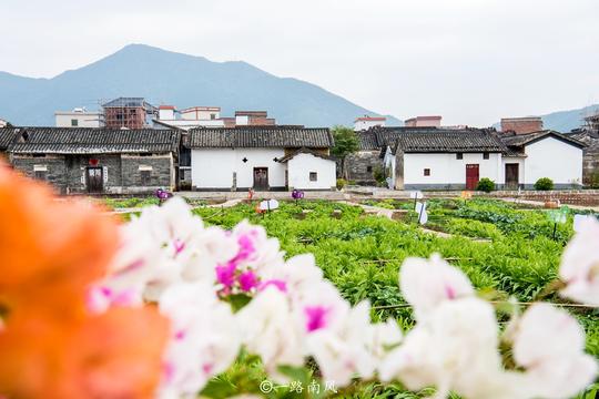 广东西部三个冷门景点，全部位于新兴县，每个都美丽有底蕴