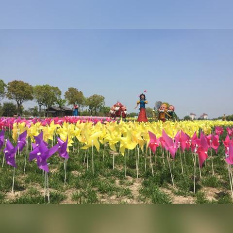 为什么是苏州市太仓市