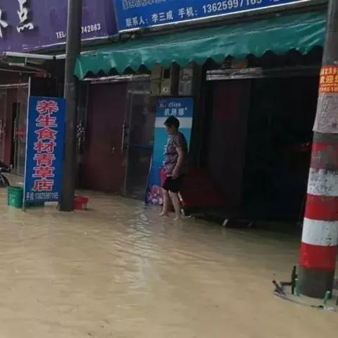 泉州市杀鸡鸭店在哪里开