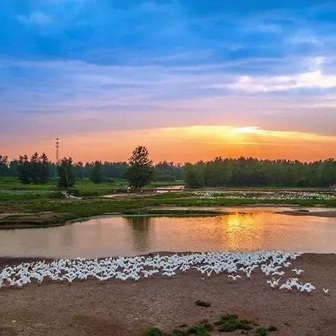 英语介绍家乡河南的相关长尾关键词有哪些