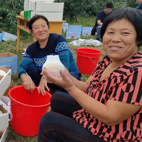 石家庄市南城东村规划的长尾关键词有什么
