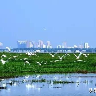 河南哪个县是平原