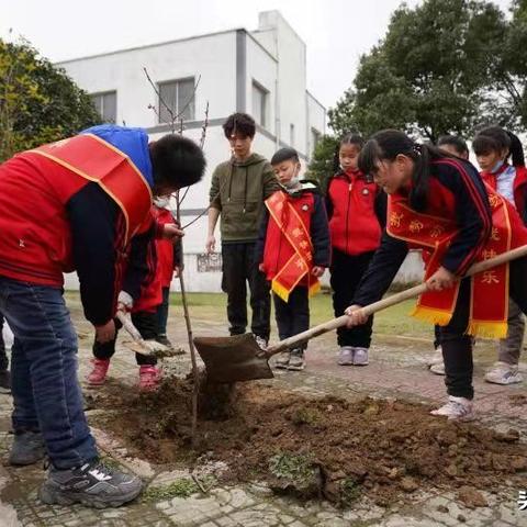 长沙桂花树小学怎么样？