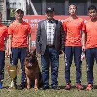 西安犬舍排名相关长尾关键词有哪些