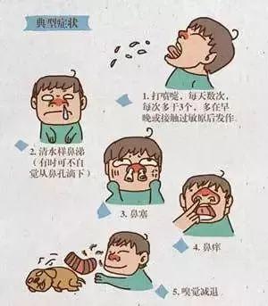 宝宝IgE介导过敏是什么意思