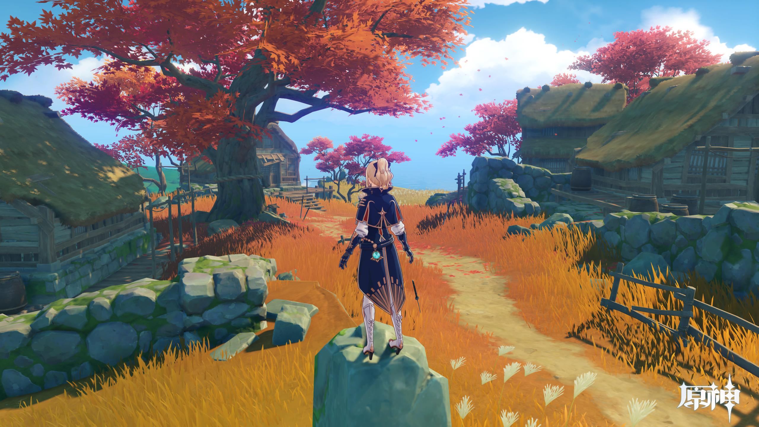 原神新手怎么到稻妻岛(原神稻妻地图怎么开)