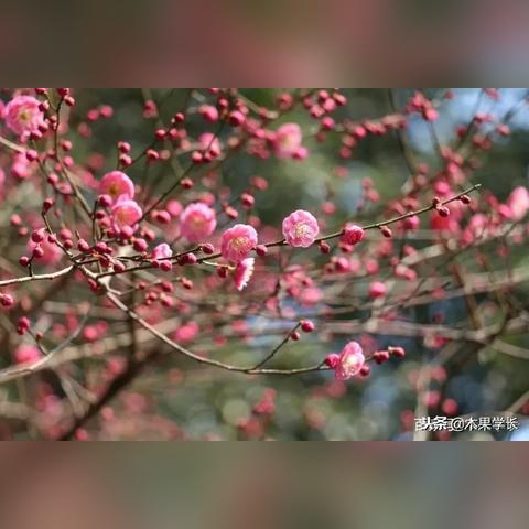 杭州市哪个城市雅称