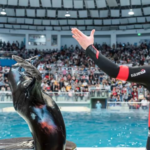 长沙海底世界好玩吗？