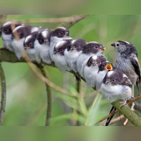 qq兄弟个性签名大全的长尾关键词是什么