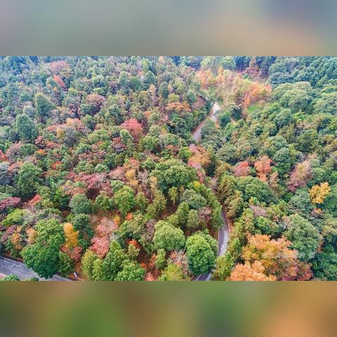 广州市有什么大山