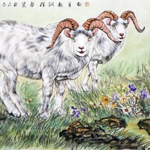 兰州最大的花鸟市场？