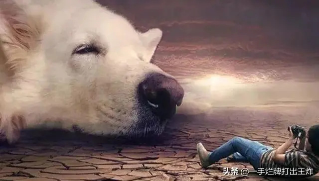 网上副业哪个好点 网上副业哪个好做