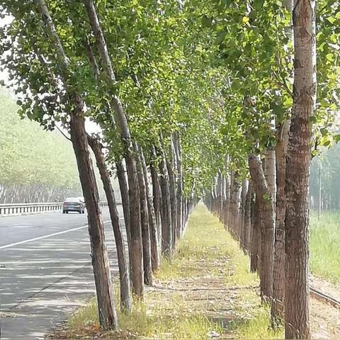 济南至东营列车相关长尾关键词有哪些