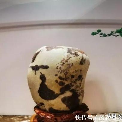 兰州市奇石化验所在哪里