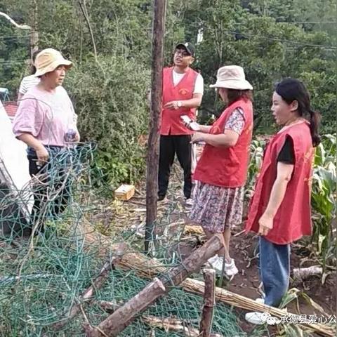 【承德三家大火最新消息,承德火灾处理45人名单】