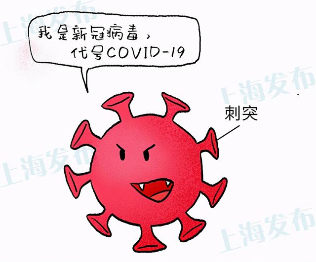 新冠病毒影响生育能力是真的吗
