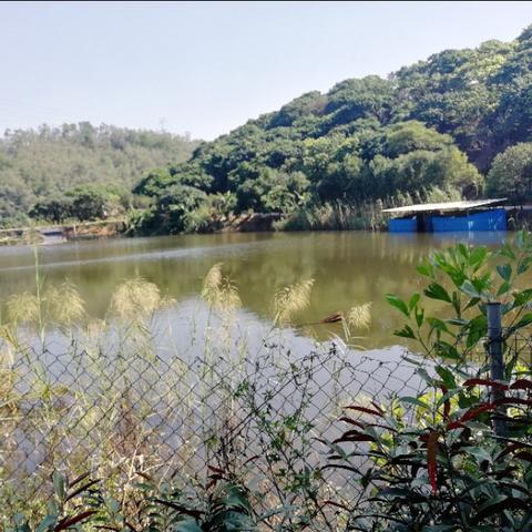 东莞市附近公园哪里好玩