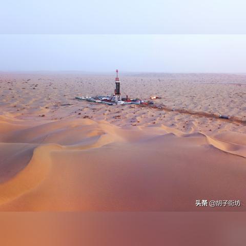 遗弃之地(遗弃之地的复苏之路)