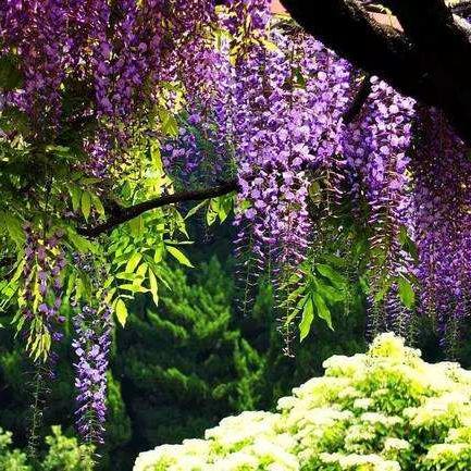 苏州市又称什么市区