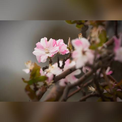 天津超算怎么样