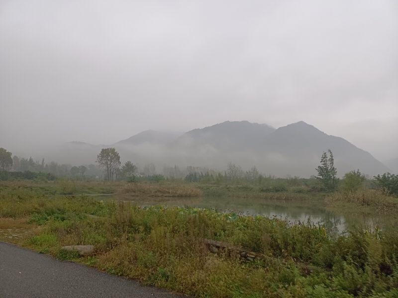 周至应该吃什么美食（曲江集团在鄠邑区精心打造的渼陂湖景区未来会不会成为新的旅游热点地区）