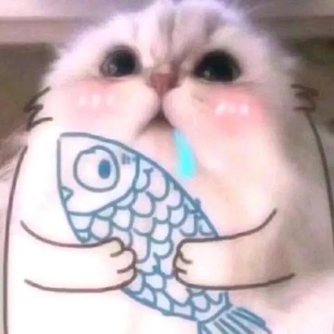 tiktok直播专线可签电信的相关长尾关键词是那些