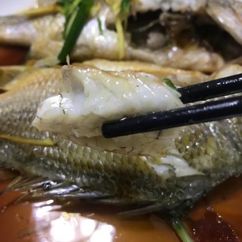 天津本来鲜怎么样