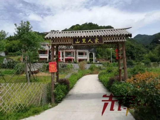 走向我们的小康生活｜九峰村：家门口的“桃花源”，年轻人回乡创业的“聚宝盆”