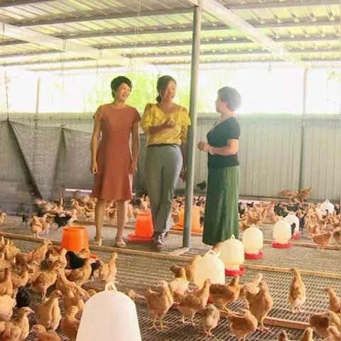 福建压锭的相关长尾关键词有哪些