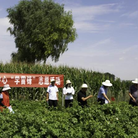兰州市征集志愿在哪里查