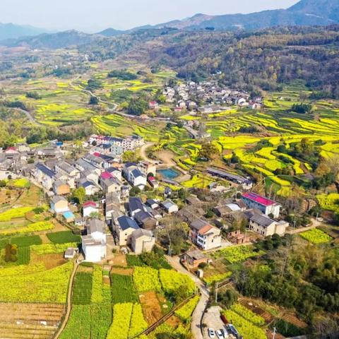 宁波市的地势是什么样的