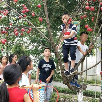 去成都市哪里办健康证快