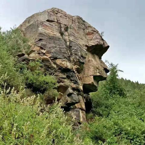 济南市历城区哪些镇