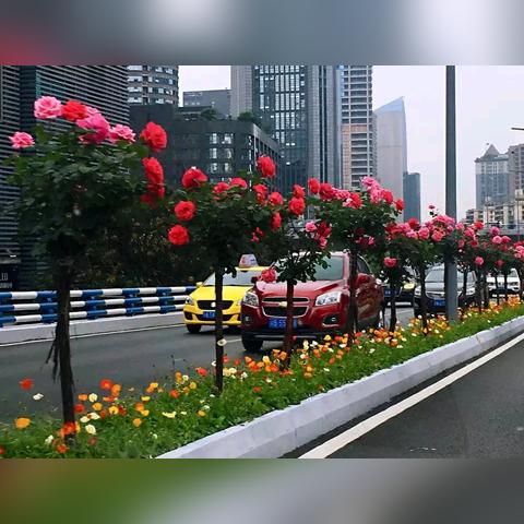 西安市怎么评二级教师