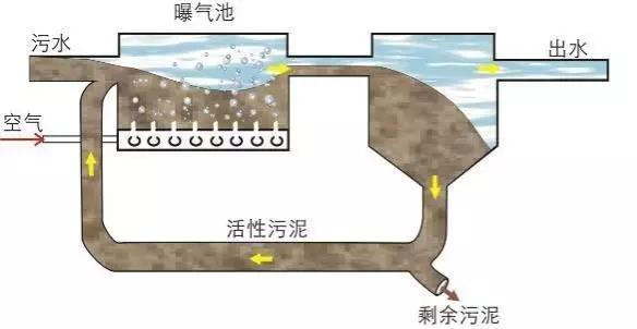 SBR工艺的优点和缺点