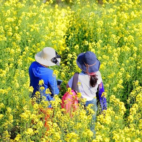 安康三日自驾游：探寻自然美景，体验历史文化之旅-第2张图片-其人生活百科