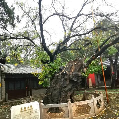 保定市定州市中山的长尾关键词有哪些