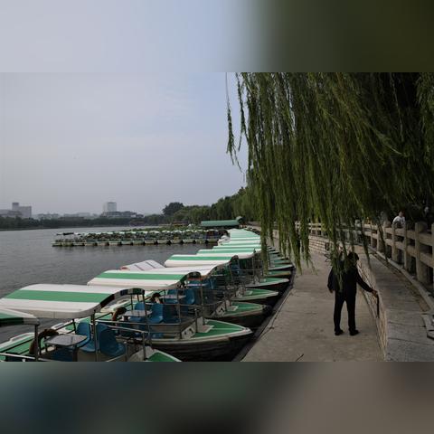 济南市园林是什么单位