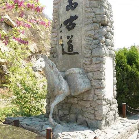 保定市哪里可以采摘香椿