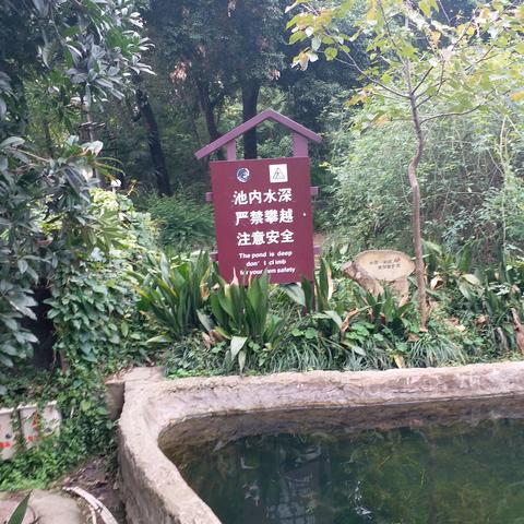 成都市最近天气怎么样