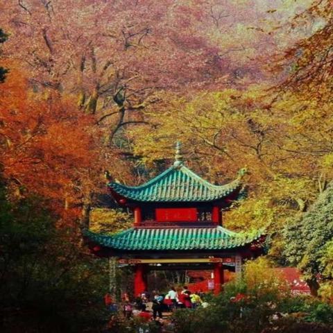 长沙鸟语林 宾馆相关长尾关键词有哪些